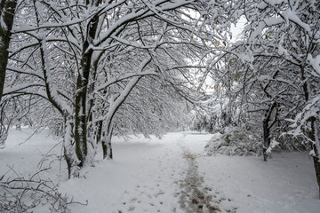 Winter Landscape of South Park in city of Sofia, Bulgaria