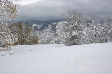 Winter Landscape of South Park in city of Sofia, Bulgaria