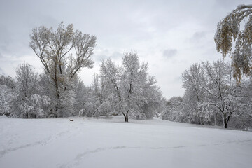 Winter Landscape of South Park in city of Sofia, Bulgaria