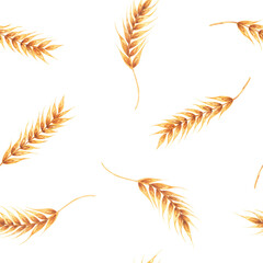Ears wheat spikelets on a white background. Watercolor seamless pattern hand drawn. For textile, fabric, wallpaper - obrazy, fototapety, plakaty