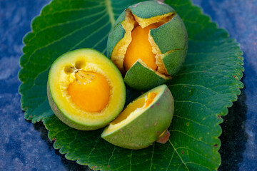 Typical ripe pequi fruit (caryocar brasiliense) in fine details and selective focus. Typical fruit...