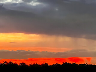 sunset behind palms