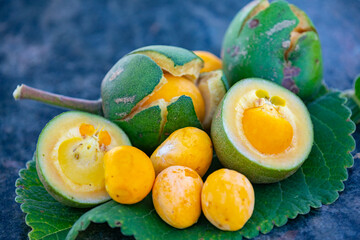 Typical ripe pequi fruit (caryocar brasiliense) in fine details and selective focus. Typical fruit of the Brazilian cerrado bioama.