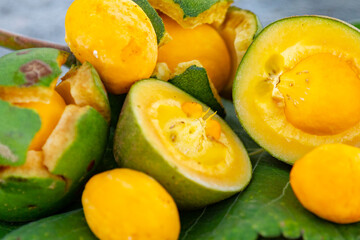 Typical ripe pequi fruit (caryocar brasiliense) in fine details and selective focus. Typical fruit of the Brazilian cerrado bioama.