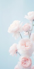 Fototapeta na wymiar Flowers roses soft pastel color background. Beautiful composition. Valentine's Day, Easter, Birthday, Happy Women's Day, Mother's Day. Holiday poster and banner