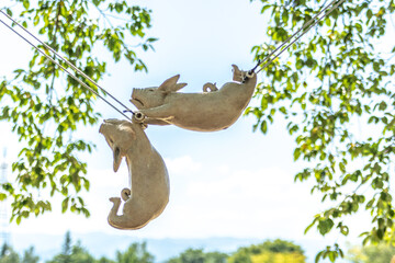 空中ブランコ　豚のサーカス