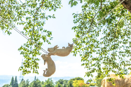 空中ブランコ」の写真素材 | 285,173件の無料イラスト画像 | Adobe Stock