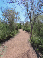 Fototapeta na wymiar Santa Ana Wildlife refuge Path