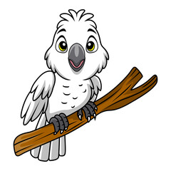 Cute white cockatoo cartoon on white background © frescostudio