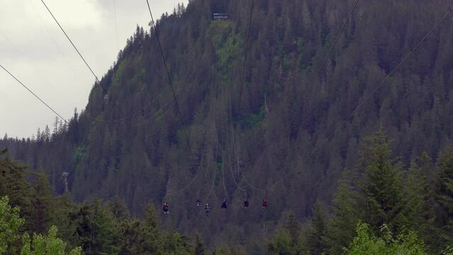 Icy Strait Point, Alaska:  World's largest ZipRider, with six 5,330' ziplines dropping 1330'. Native Alaskan privately owned, operated cruise ship port. Popular excursion. 