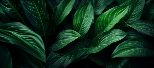 Abstract Green Leaf Texture for Nature-Inspired Background