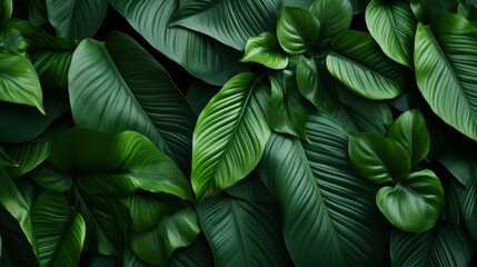 Vibrant Tropical Leaves Texture as an Abstract Green Background