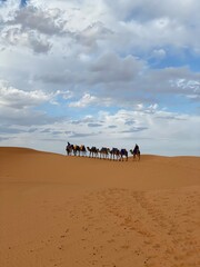 Beduin in the desert