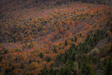 autumn in the mountains