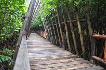 wooden bridge through a beautiful forest