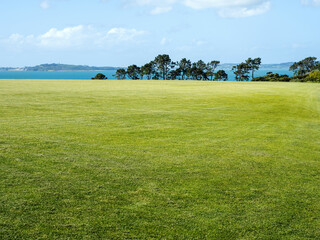 Vast lawn with short mowed grass