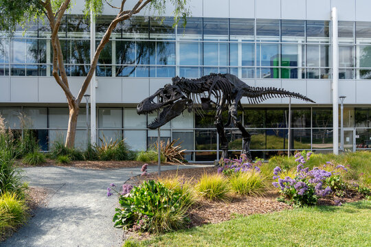 รูปภาพGoogleplex – เลือกดูภาพถ่ายสต็อก เวกเตอร์ และวิดีโอ365 | Adobe Stock