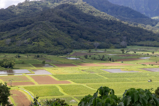 Aerial view of tropical island farm land on Kauai, Hawaii