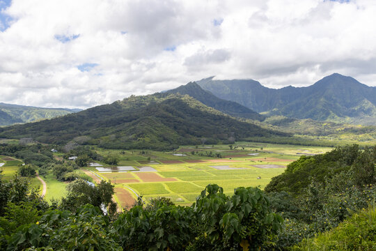 Aerial view of tropical island farm land on Kauai, Hawaii