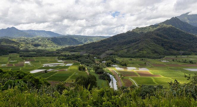 Aerial view of tropical island farm land on Kauai, Hawaii