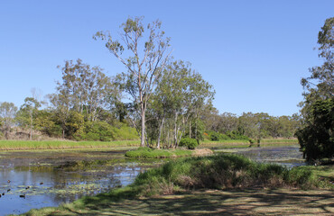 Fototapeta na wymiar Police Creek with a lake of water and trees in Gladstone, Queensland, Australia