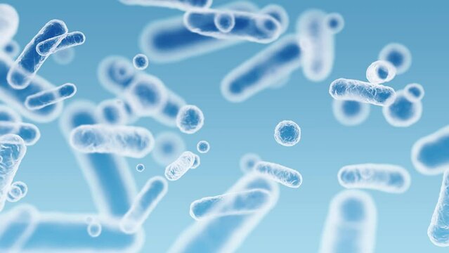 Enterobacteriaceae, gram-negative rod-shaped bacteria, part of intestinal microbiome and causative agents of different infections, 3D rendering. Escherichia coli, Klebsiella, Enterobacter and other