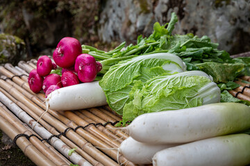 赤カブ・ハクサイ・ダイコン 飛騨高山産野菜