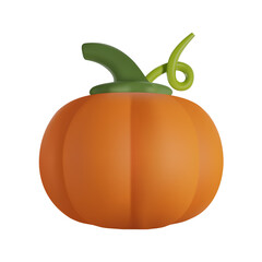 Pumpkin 3D Vector Realistic Illustration