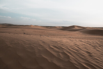 Close up background on the desert sand in Inner Mongolia, China.