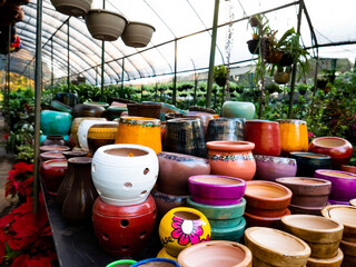 ceramic pots painted in vibrant colors, inside a plant nursery