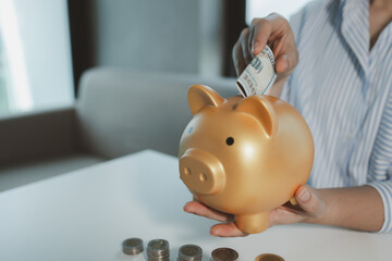 Accountant is putting money into a piggy bank, Financier is bringing savings methods to clients who...