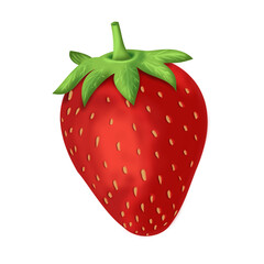 Illustration of strawberry fruit 