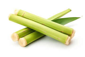 fresh green sugarcane isolated on white background - obrazy, fototapety, plakaty