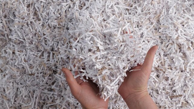 Shredded documents. Waste Reduction and Recycling. Animal bedding, Packing material, Worm bin