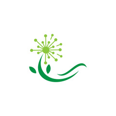Dandelion plant logo design vector illustration