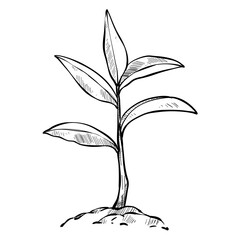 plastic rain boots hand drawn illustration