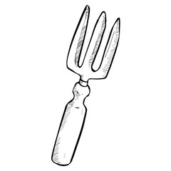 plant hand drawn illustration