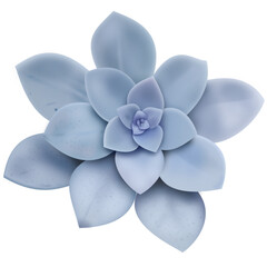 Blue succulent flower petals