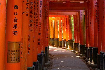 Fushimi Inari-taisha Shrine in Koto, Japan built in 1499, it's the icon of a path lined with...