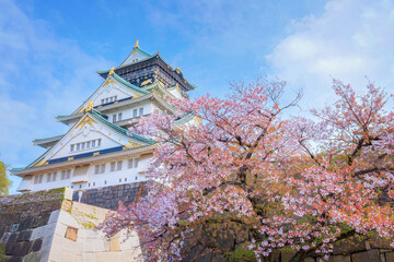 Osaka Castle in Osaka, Japan is one of Osaka's most popular hanami spots during the cherry blossom season - obrazy, fototapety, plakaty