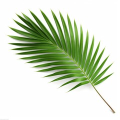 Palm leaf branch tropic summer isolated backgrounds 3d illustration, Generative AI  - obrazy, fototapety, plakaty