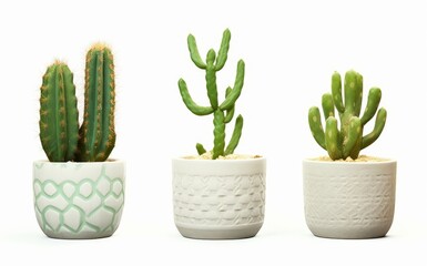Summer cactus plants in pots cut out white backgrounds 3d rendering, Generative AI 