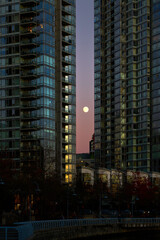 Moonrise Towers City Center. The moon rising over the Vancouver False Creek skyline. British Columbia, Canada.

