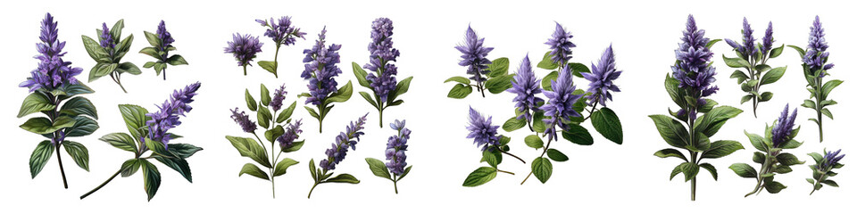 Bugleweed  Flower Set Concept Props For Icon Designing Hyperrealistic Highly Detailed Isolated On Transparent Background Png File
