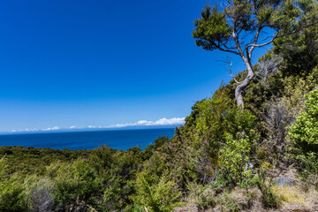 Fototapeta na wymiar Abel Tasman National Park near Nelson New Zealand