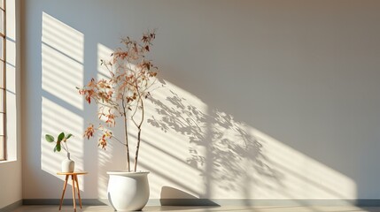日の光が入る白いモダンな部屋