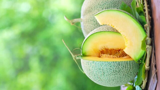 Orange Melon on blurred greenery background, Orange Melon or Cantaloupe fruit in Bamboo mat on wooden table in garden.	