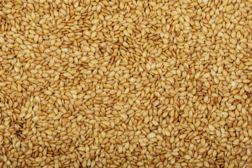 Close up of Roasted Flax Seeds with copy space