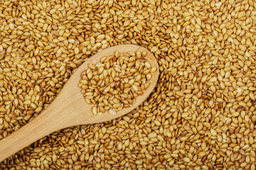 Close up of Roasted Flax Seeds with copy space