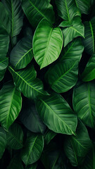 green leaf nature texture background abstract design